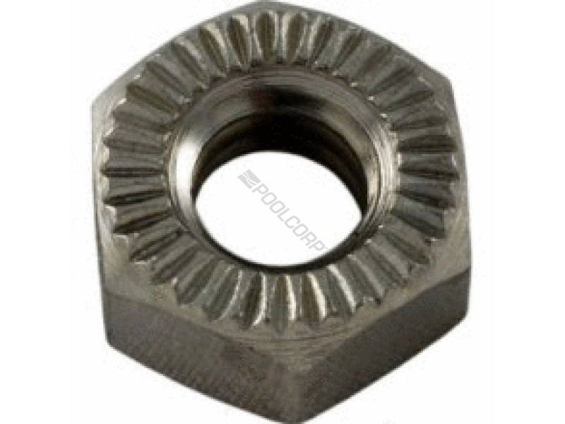 .25"-20 SS HEX NUT