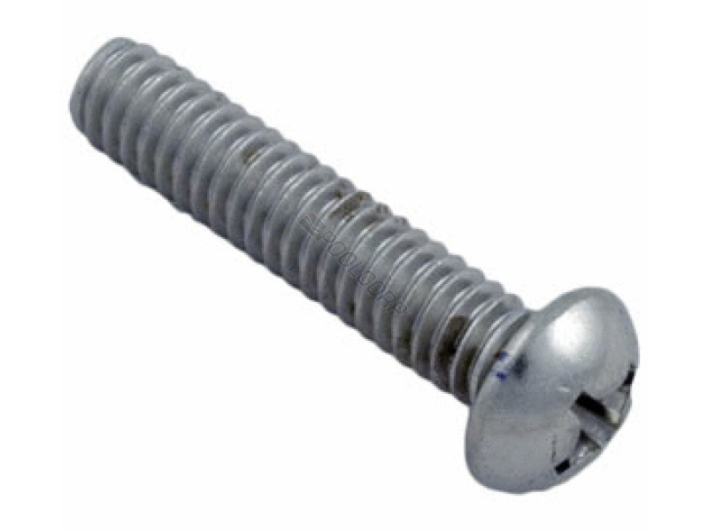 .25-20X1.25" SS SCREW