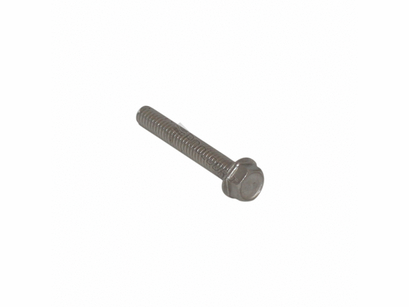 .25-20X1.75" HEX HEAD 18-8 BOLT