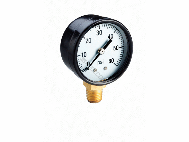 .25" BACK MOUNT PRESSURE GAUGE